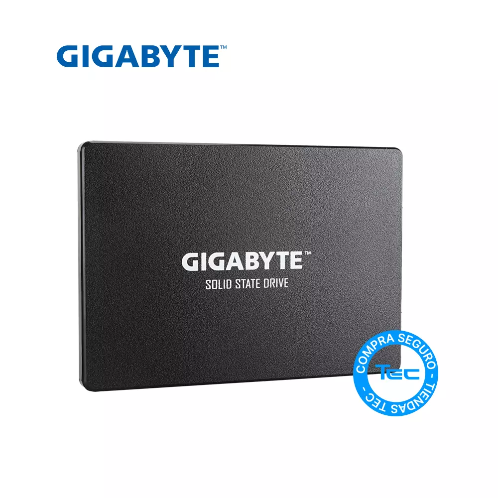 Disco Solido Gigabyte GP-GSTFS31256GTND 256GB