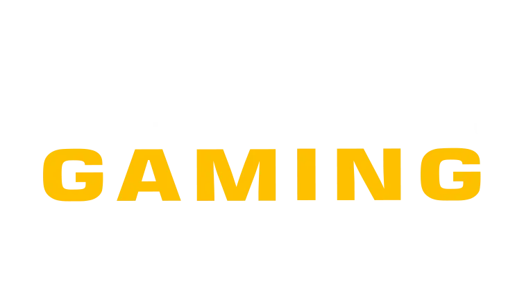 accesorios nombre zona gamer1