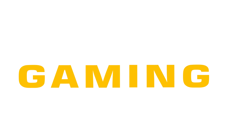 case nombre zona gamer1