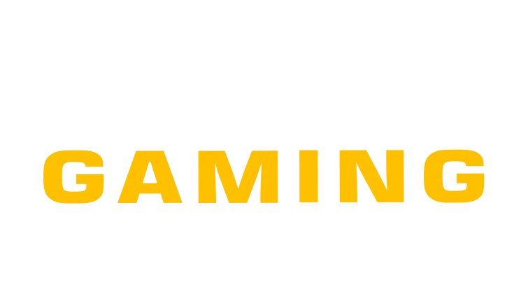 silla zona gamer