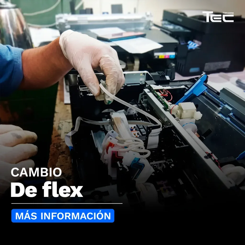 Cambio de Flex 1